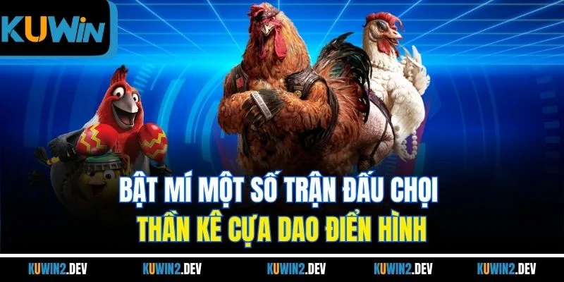 Bật mí một số trận đấu chọi thần kê cựa dao điển hình