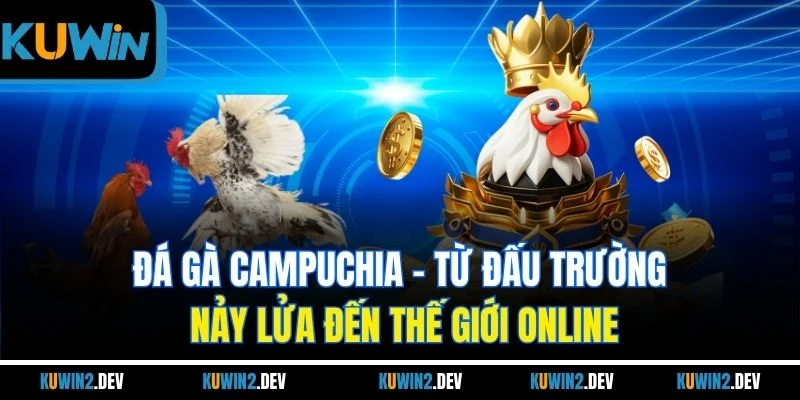 Đá Gà Campuchia | Từ Đấu Trường Nảy Lửa Đến Thế Giới Online