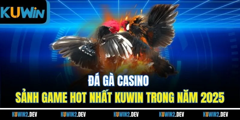 Đá Gà Casino - Sảnh Game Hot Nhất KUWIN Trong Năm 2025