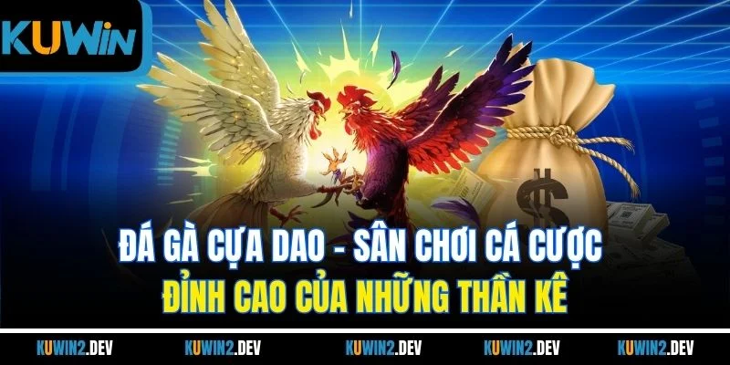 Đá Gà Cựa Dao | Sân Chơi Cá Cược Đỉnh Cao Của Những Thần Kê
