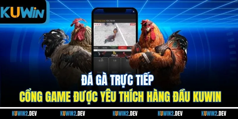 Đá Gà Trực Tiếp - Cổng Game Được Yêu Thích Hàng Đầu KUWIN