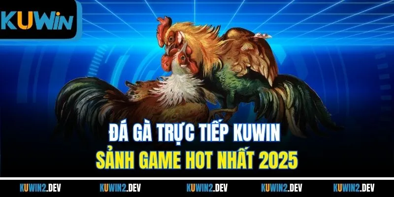 Đá gà trực tiếp KUWIN - Sảnh game hot nhất 2025