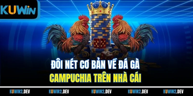 Đôi nét cơ bản về đá gà Campuchia trên nhà cái 
