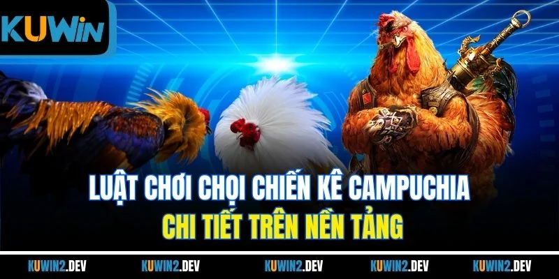 Luật chơi chọi chiến kê Campuchia chi tiết trên nền tảng
