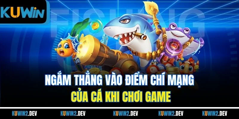 Ngắm thẳng vào điểm chí mạng của cá khi chơi game