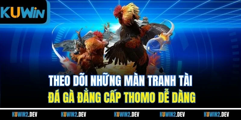 Theo dõi những màn tranh tài đá gà đẳng cấp Thomo dễ dàng
