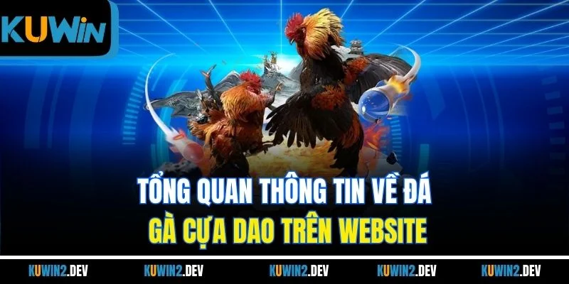Tổng quan thông tin về đá gà cựa dao trên website