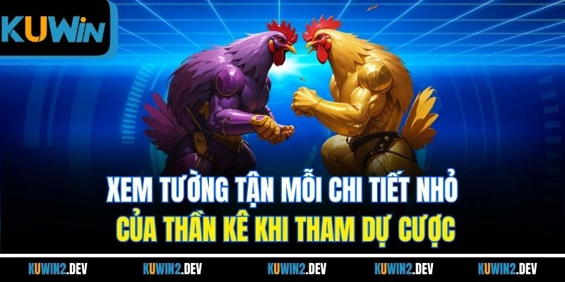 Xem tường tận mỗi chi tiết nhỏ của thần kê khi tham dự cược